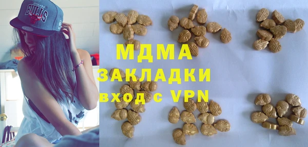 молекула духа Бородино