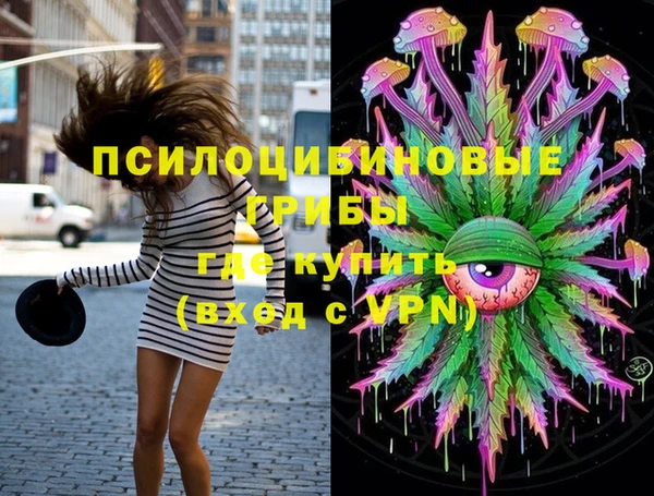 дживик Бугульма