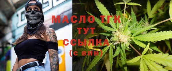 молекула духа Бородино