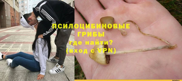 ECSTASY Бронницы